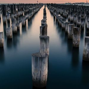 Meet your Posher, Patrick